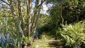 Un espace extérieur aménagé, avec un banc, entouré d’arbres et de fougères.