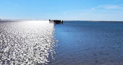 Holiday Home in Dagebull