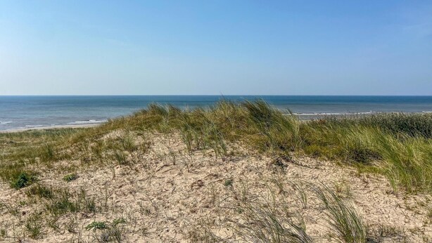 Ein Strand mit Dünen und freiem Blick auf das Meer.