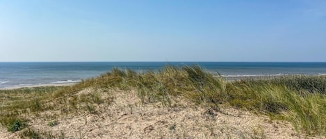 Playa en los alrededores y pesca