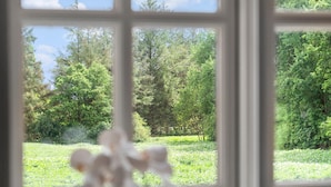 Blick durch ein Fenster, im Vordergrund verschwommen, vermutlich eine Pflanze oder Blumen. Draußen ist eine natürliche Landschaft mit Bäumen und Gras zu sehen.