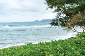 On the beach, sun-loungers, beach towels