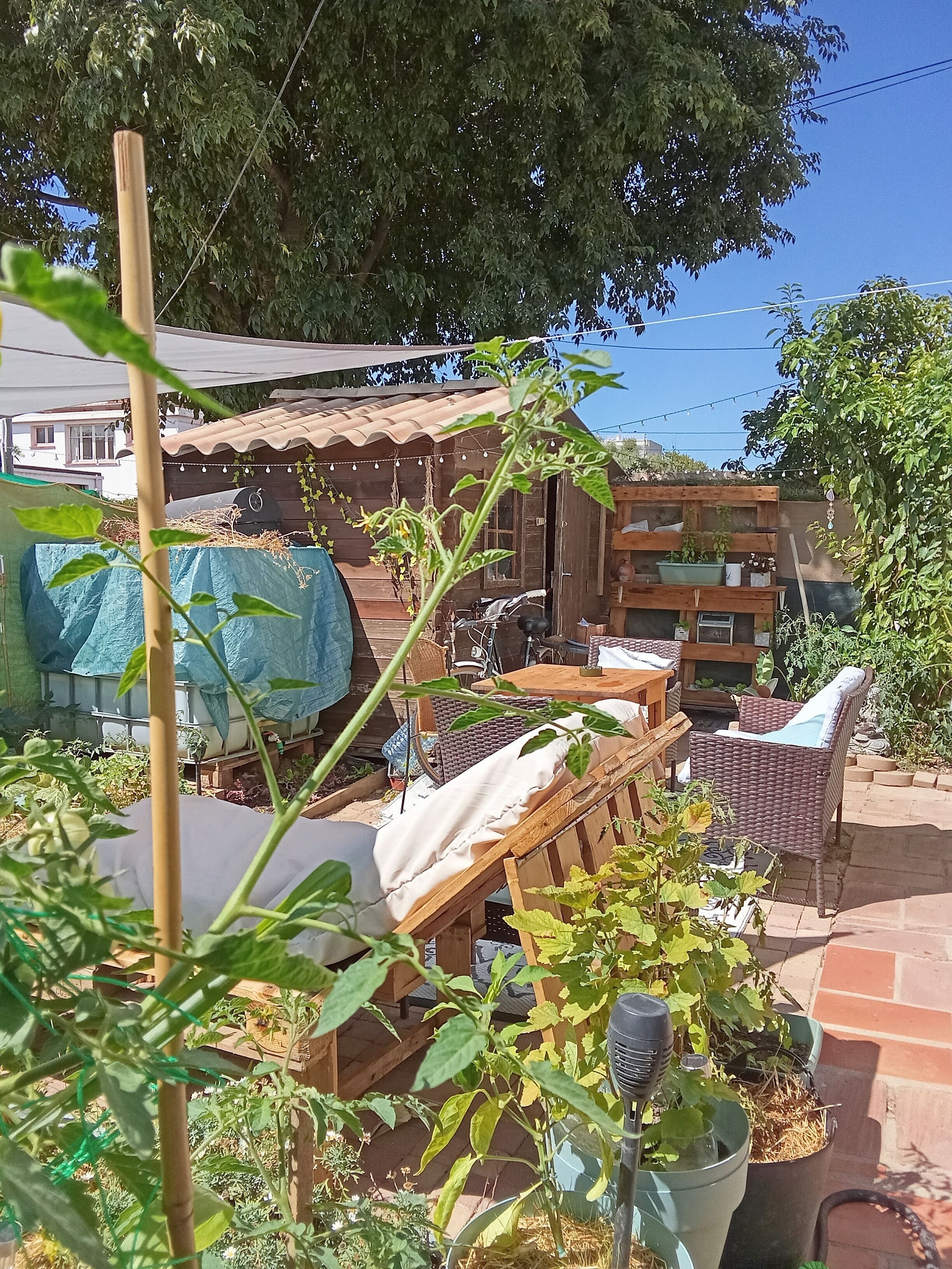 Terrein van de accommodatie