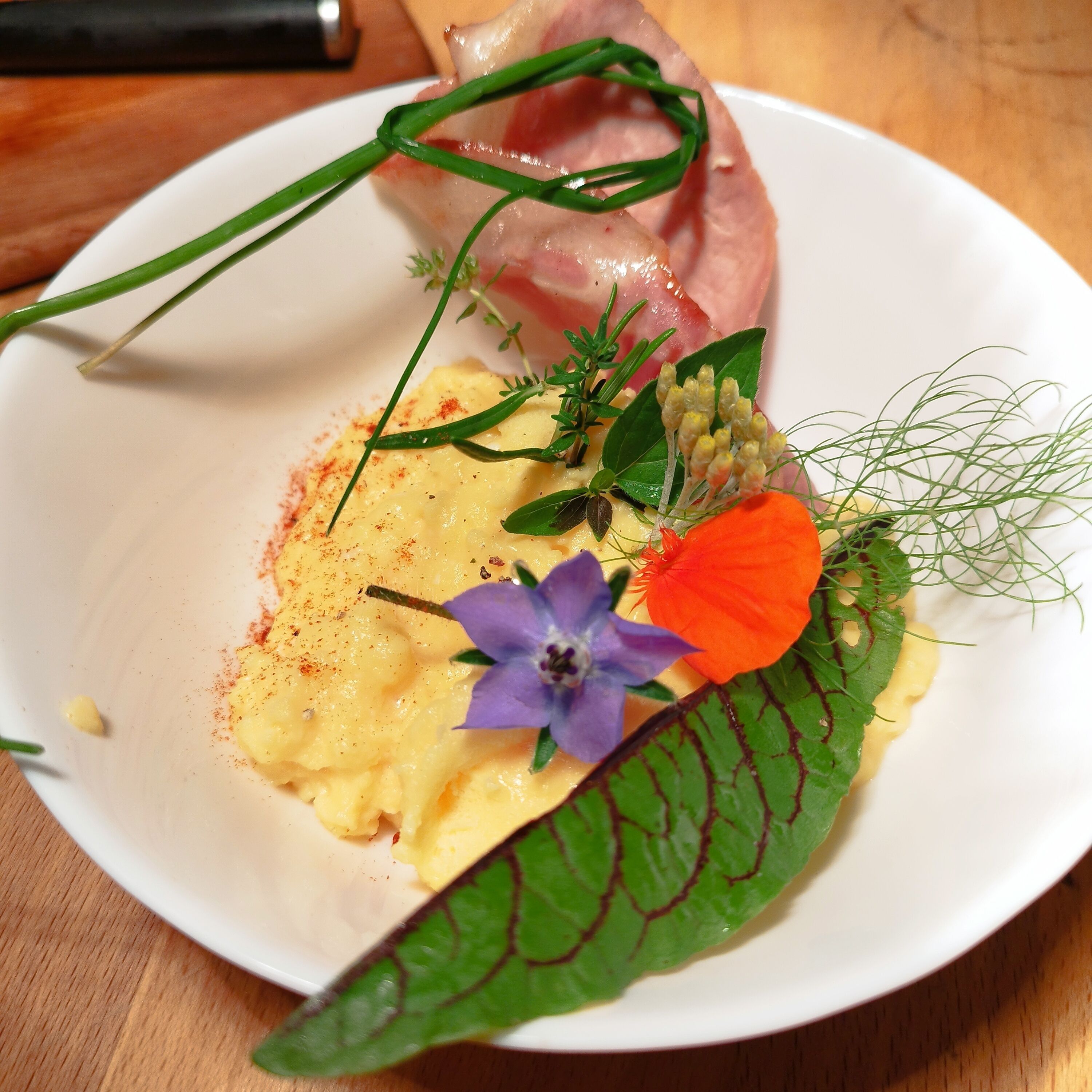 Un plato blanco con un guiso, decorado con hierbas verdes y una flor púrpura.