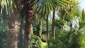 A garden with palm trees and a stone pathway. - Les 3 Koïs (Riec-sur-Bélon)