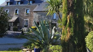 A stone building with a sloped roof, multiple windows, and a well-maintained garden with various plants and a palm tree. - Les 3 Koïs (Riec-sur-Bélon)