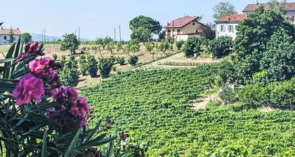 Stunning private villa for 4 guests with WIFI, terrace and panoramic view