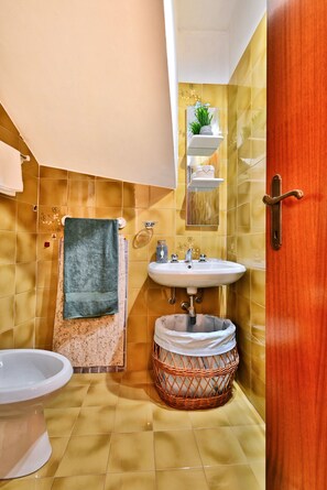 Shower, hair dryer, bidet, towels