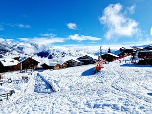 Sne- og skisport