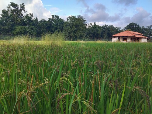 Organic Farmhouse amidst Bandhawgadh Tiger Reserve