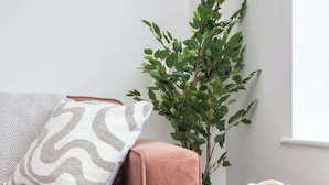 Et værelse med en lyserød sofa, en mønstret pude, en grøn plante og et rundt sofabord med en snoet rebsdetalje.