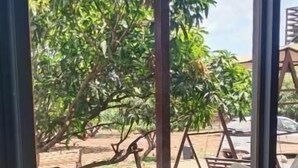 A view through a glass door to an outdoor seating area with wicker chairs and a table, surrounded by greenery and a clear sky. - Rain Forest Gir Resort (Talala)