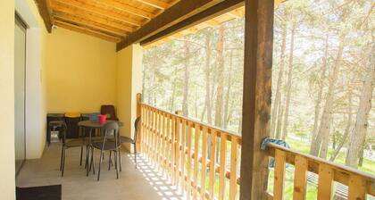 Gîtes in the Alpes du Sud Provence, 5 minutes from the Montclar ski resort!