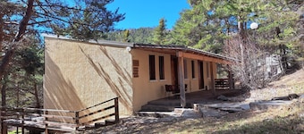 Gites in Provence in the heart of the pine forest, 10 minutes from Lake Serre Ponçon!