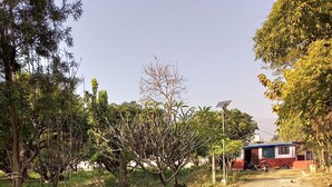 A rural setting with a dirt road, trees, and a small building with a blue roof.