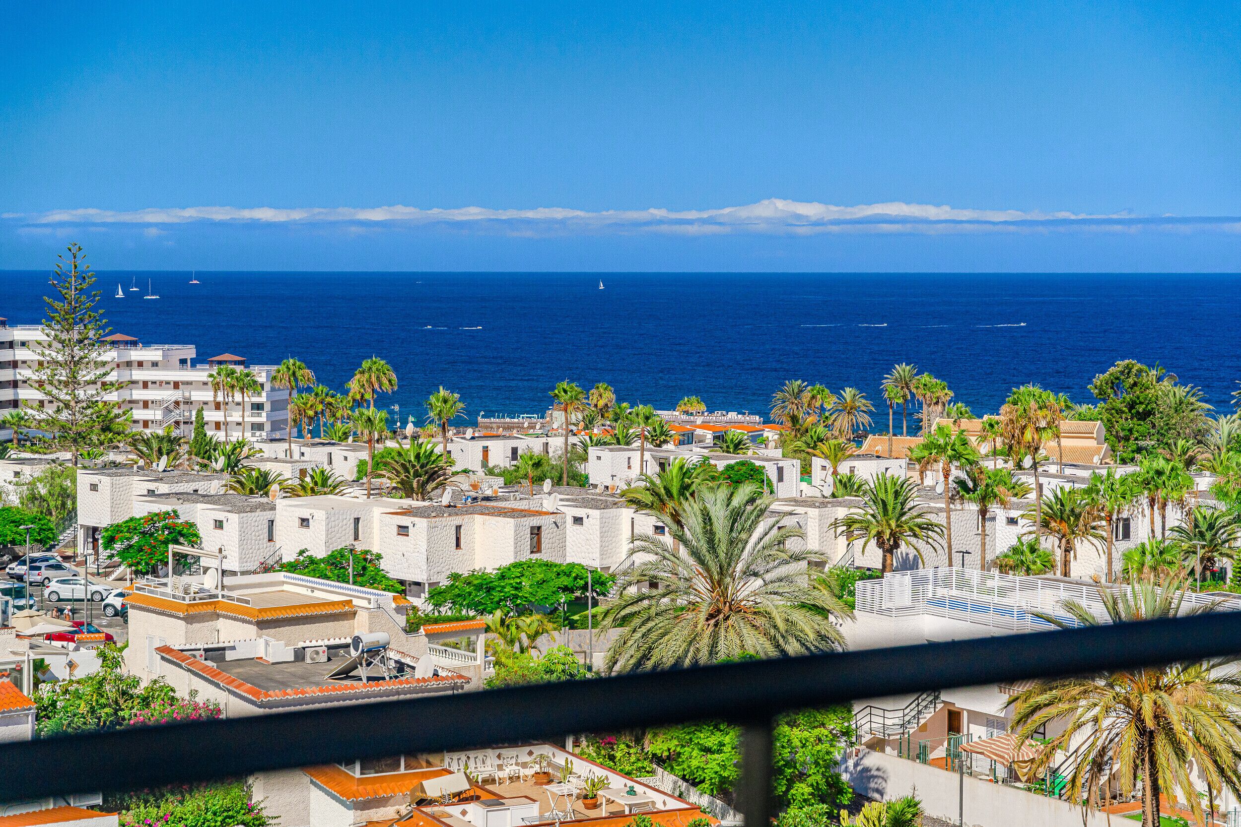 A coastal town with white buildings, palm trees, and a view of the sea.