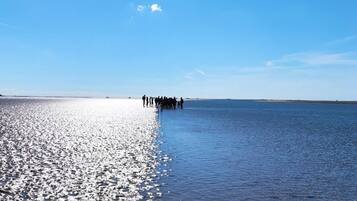 House | View from property