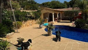 A pool area with a tiled floor, a small dog, and a person standing by the pool.