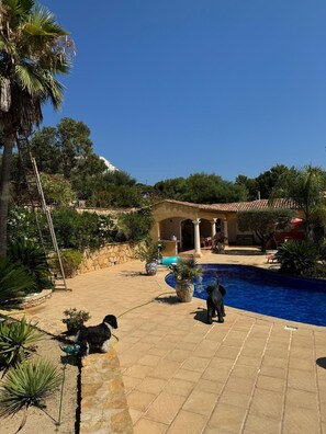 Pool - Villa on the heights of Bandol with swimming pool and large beach (Bandol)