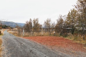 Sekalaista
