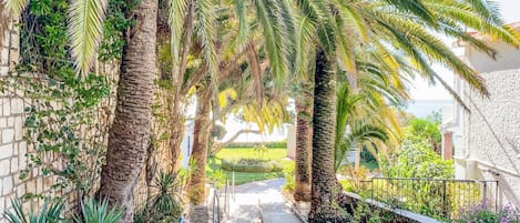 Apartment | View from property