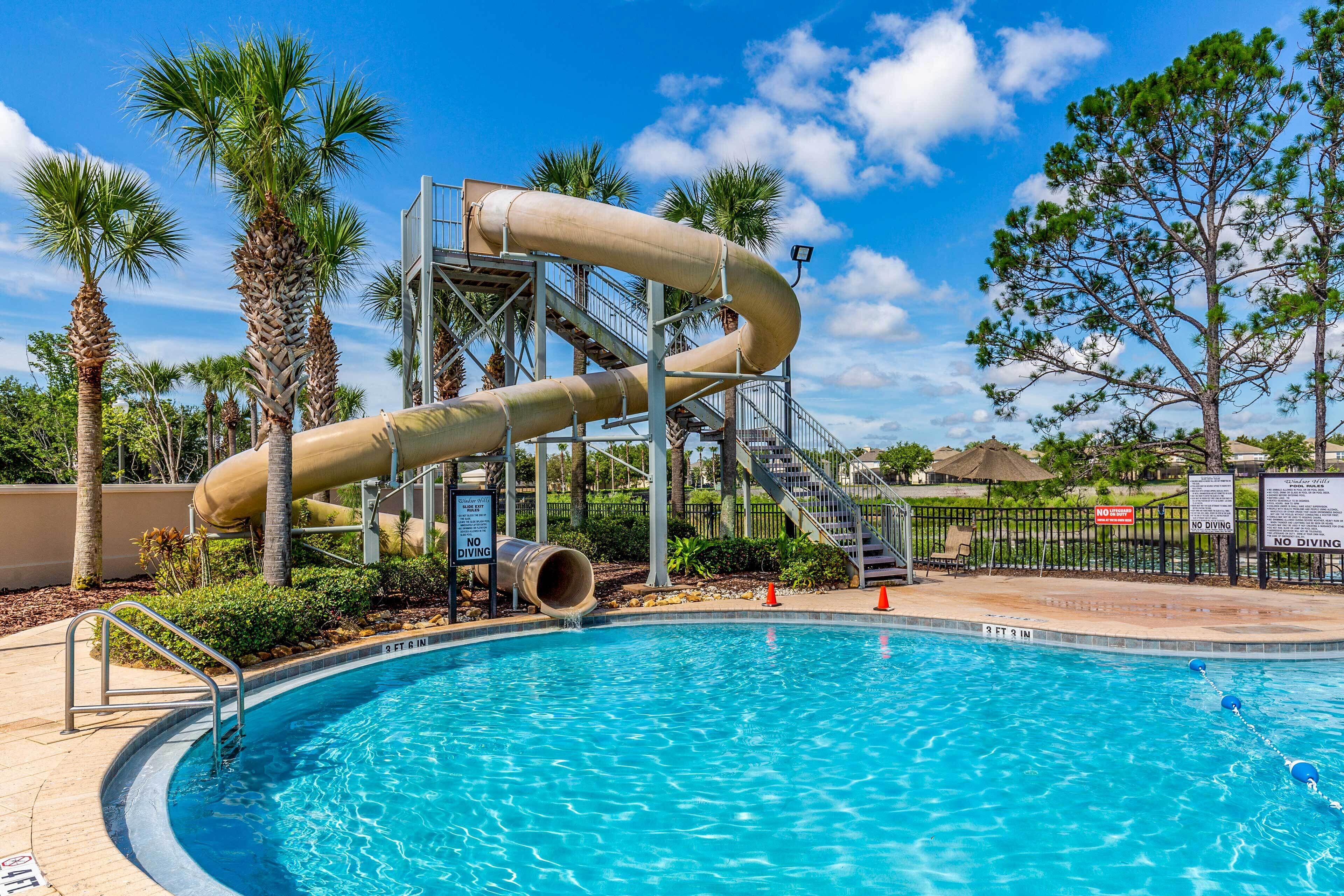 A swimming pool with a water slide, palm trees, and a no diving sign.