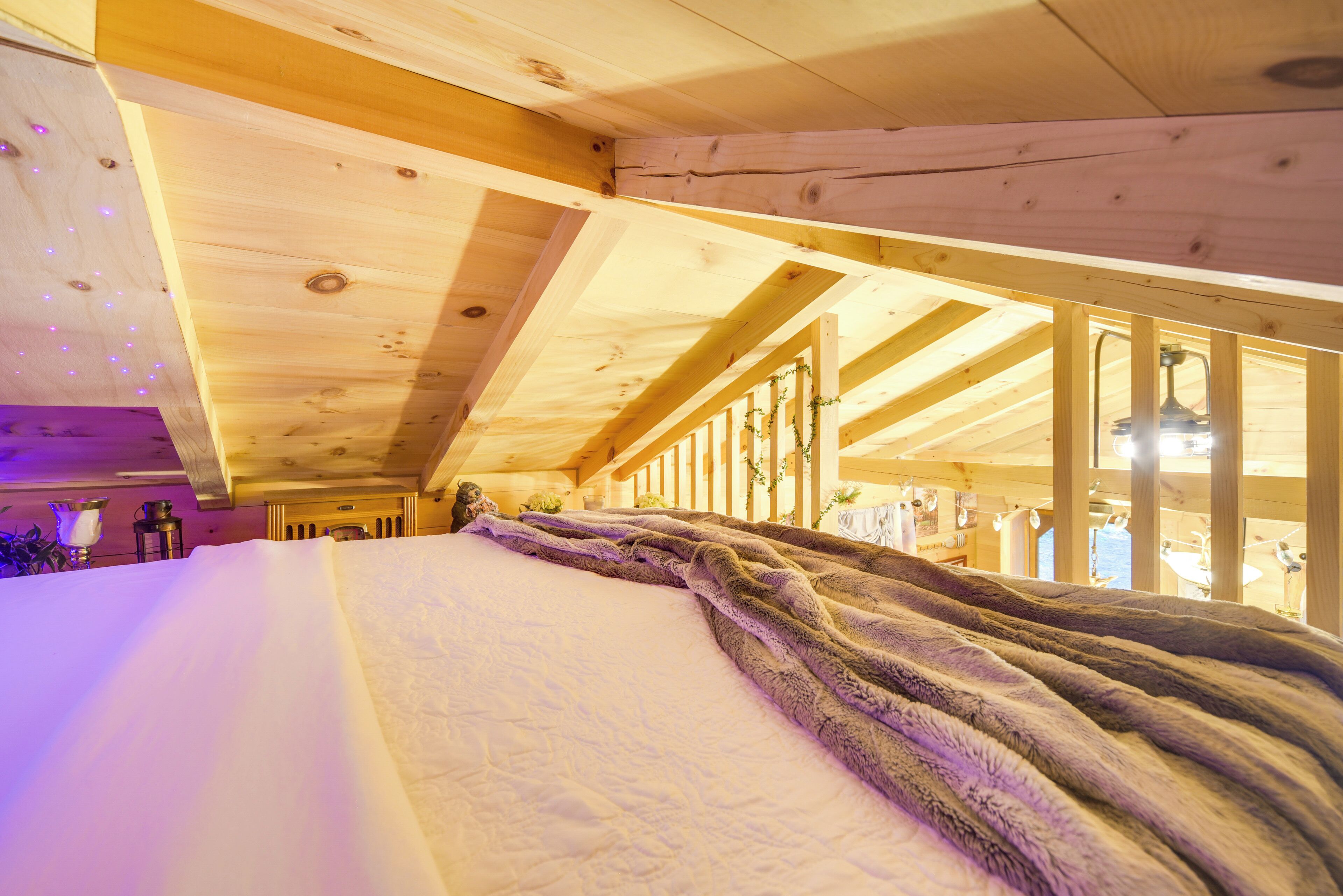 Apartment (0 Bedroom) | Interior