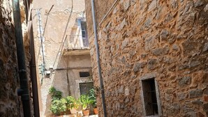Une étroite ruelle pavée, bordée de plantes en pot, et un ciel d’un bleu limpide.
