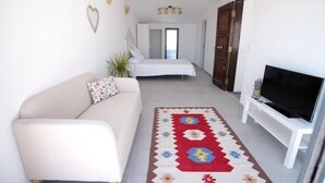 A modern, well-lit living room with a sofa, a flat-screen TV, and a patterned rug.