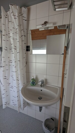 Shower, towels, toilet paper