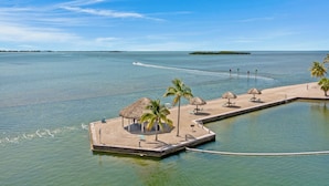 A tropical resort with a water-based lounge area, palm trees, and a clear view of the ocean.