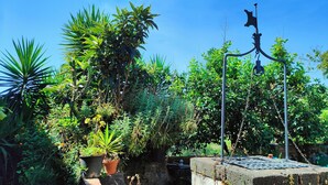 Un giardino con diverse piante in vaso e una struttura in metallo.