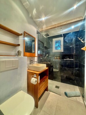 Shower, hair dryer, towels, soap - La Casettina (Gassin)