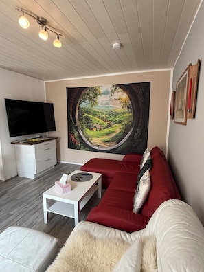 Fernseher