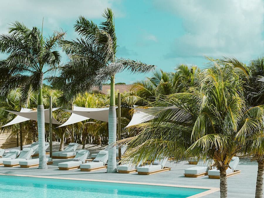 A swimming pool with lounge chairs and palm trees.