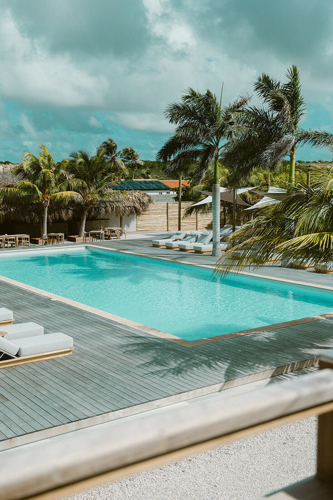 A swimming pool with lounge chairs and palm trees.
