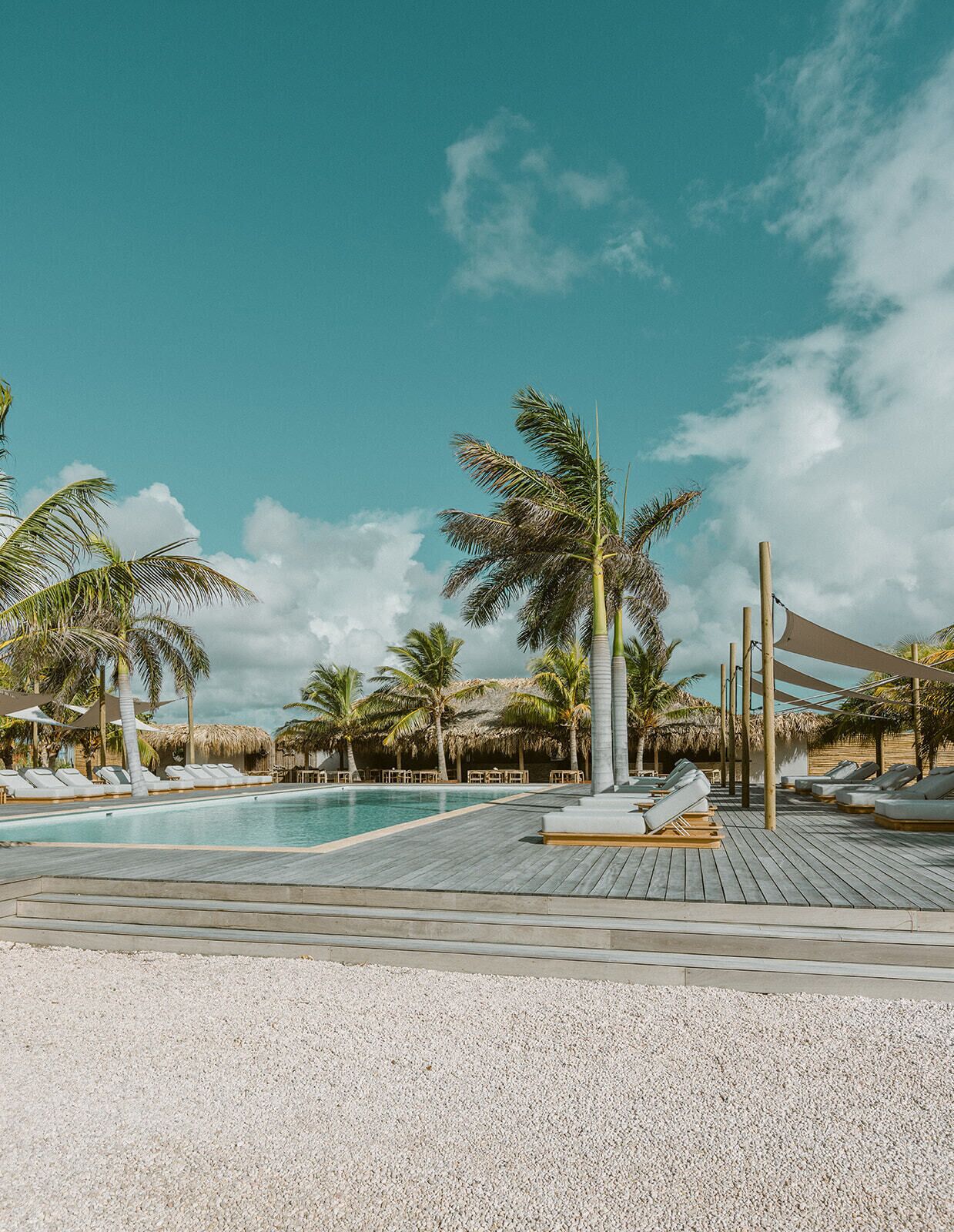 A poolside area with lounge chairs, palm trees, and a clear sky.