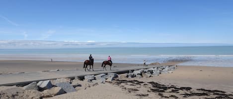 Plage à proximité