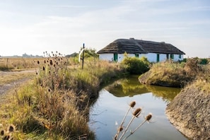 A rural house with a thatched roof, surrounded by a small water body and overgrown vegetation. - 1/ Grand pavillon avec terrasse (Saint-Jean-de-Monts)