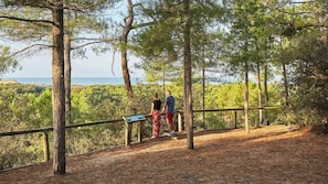 A forested area with a wooden viewing platform and a sign. - 1/ Grand pavillon avec terrasse (Saint-Jean-de-Monts)
