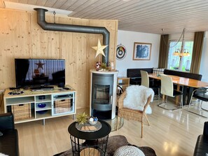 电视、DVD 播放器