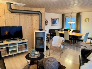 Télévision, lecteur de DVD, livres