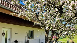 Una casa con patio cercado, un árbol con flores floreciendo y un cielo azul despejado.