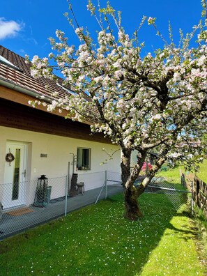 Overnatningsstedets område