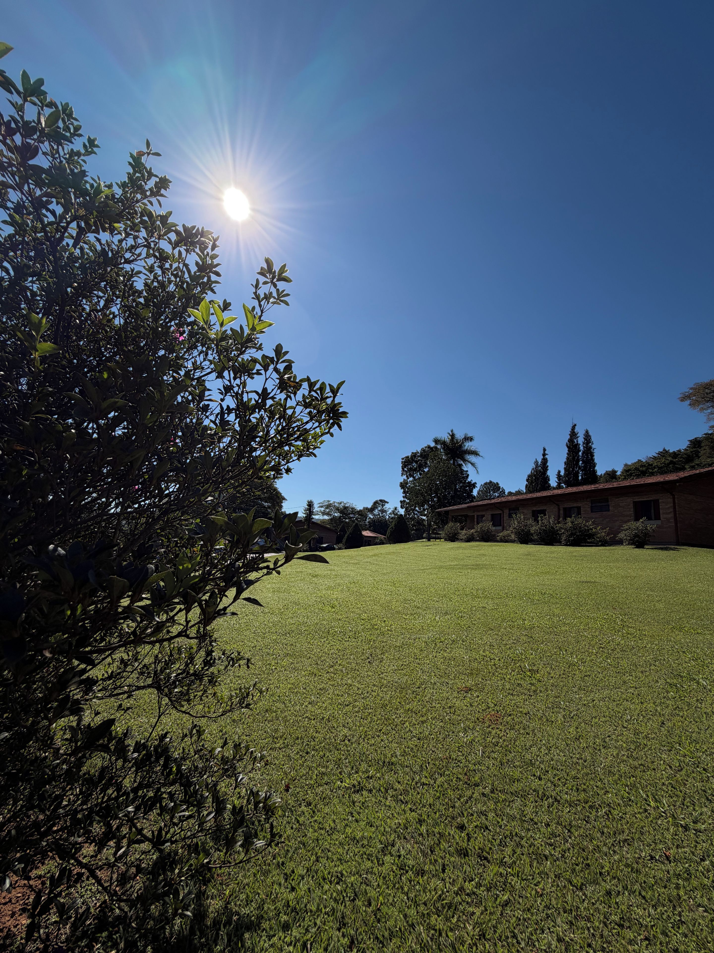 A grassy field with a building in the background.