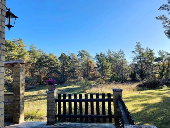 A wooden gate leading to a grassy area with trees in the background.