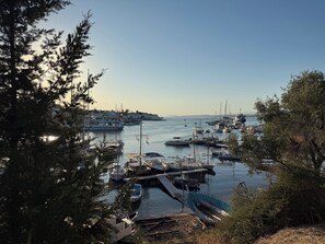 Marina
