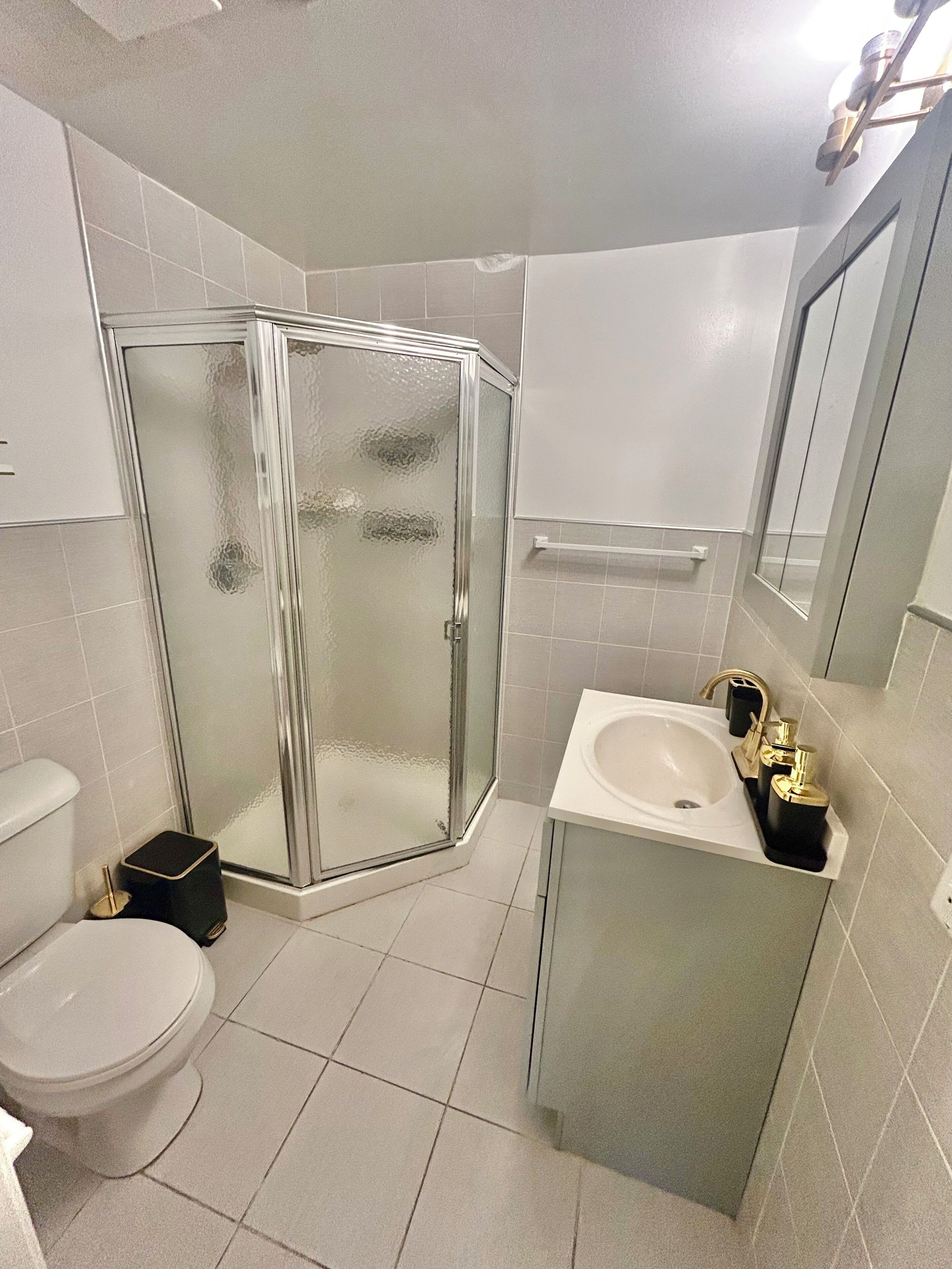 Hair dryer, towels, soap, toilet paper