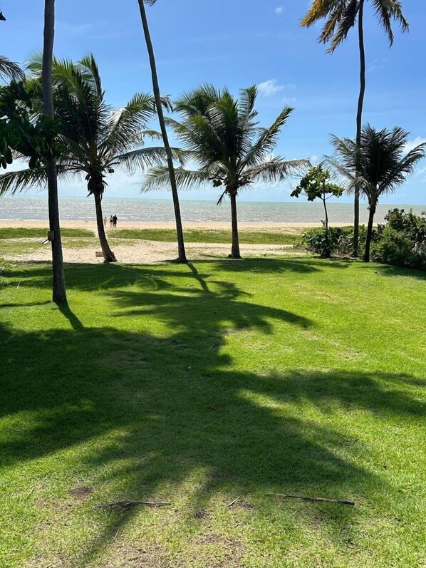 Une zone herbeuse avec des palmiers et une plage en arrière-plan.