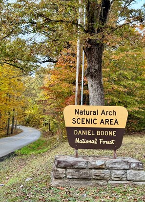 Property grounds - Easy Walk to Lake, Best Hikes & Scenery! Direct access to Ramp, Fish, Swim (Whitley City)